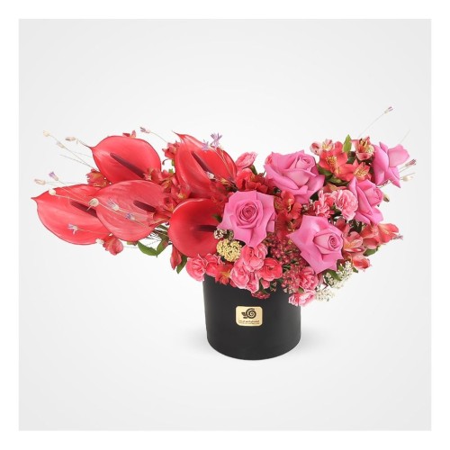 Shima Roses and Anthuriums Flower Box